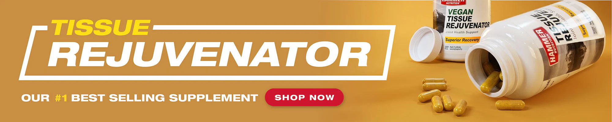 Fuel Your Ultimate Performance